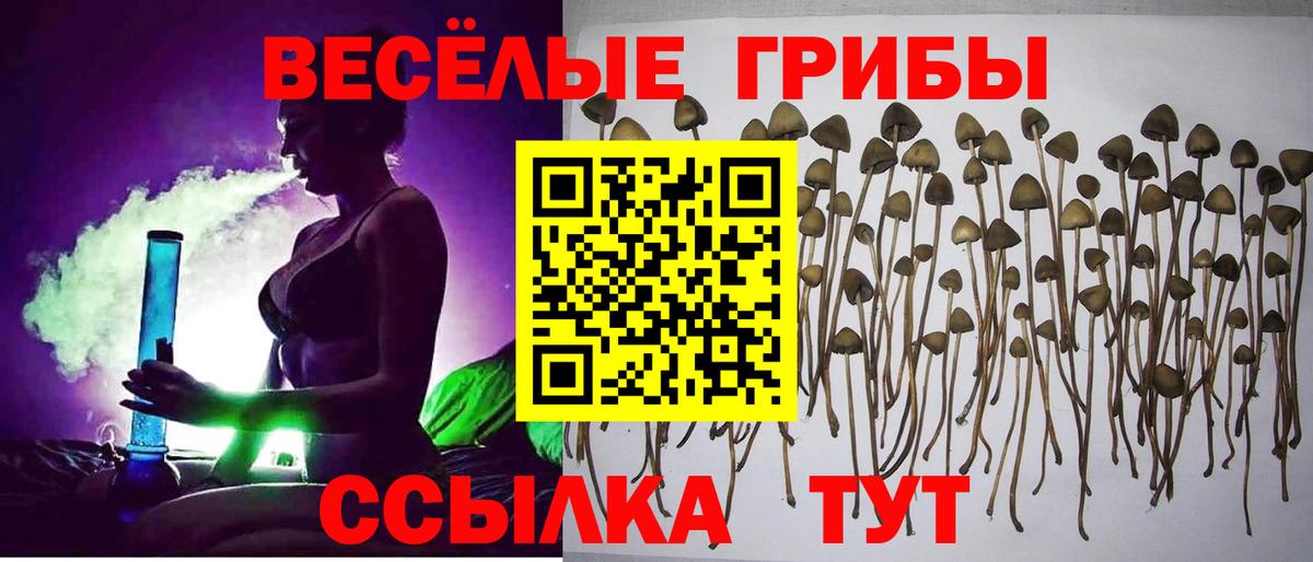 Псилоцибиновые грибы Magic Shrooms  Вход с VPN  Азов 